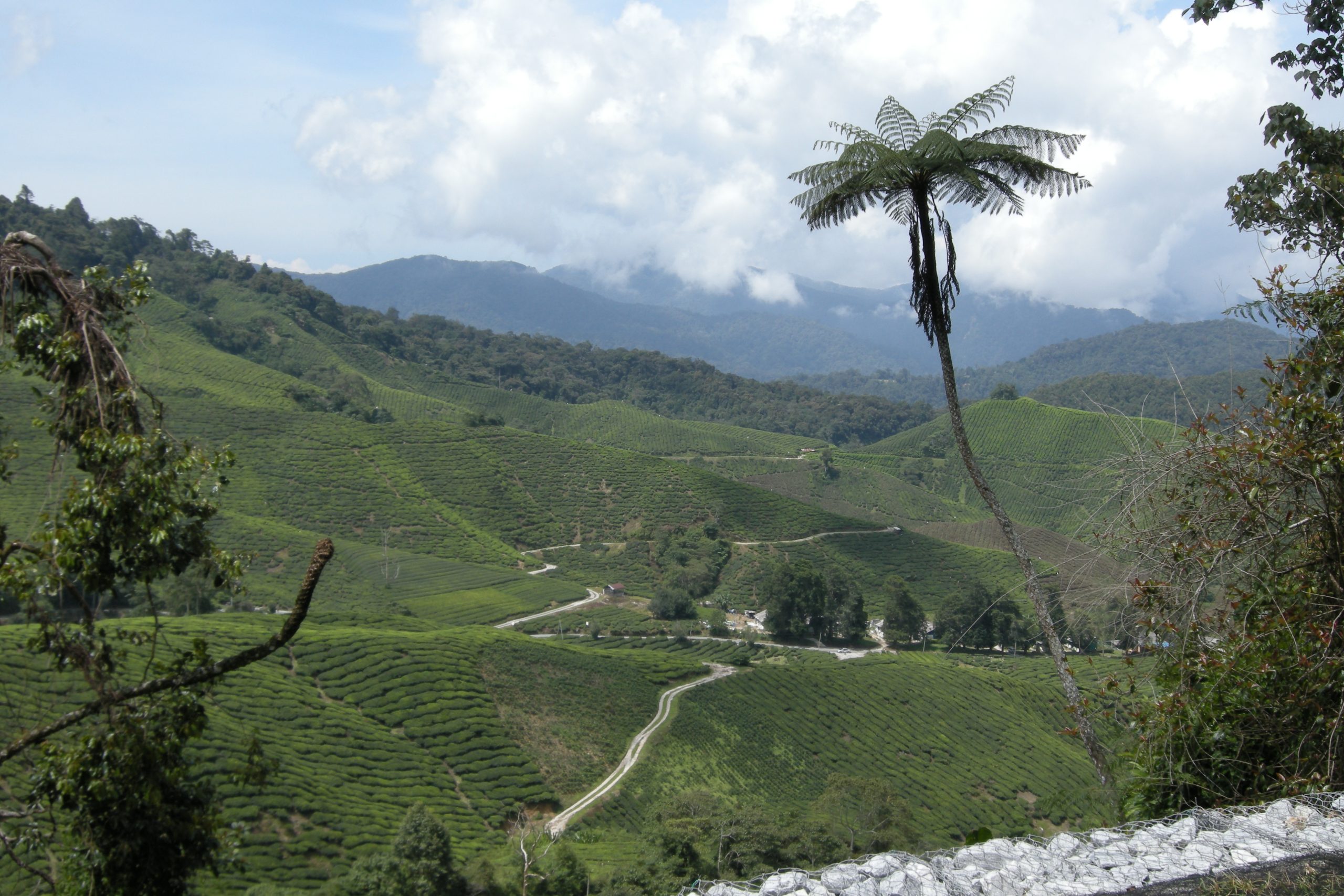 Pahang, Malasia: paisajes tropicales, naturaleza y playas paradisíacas
